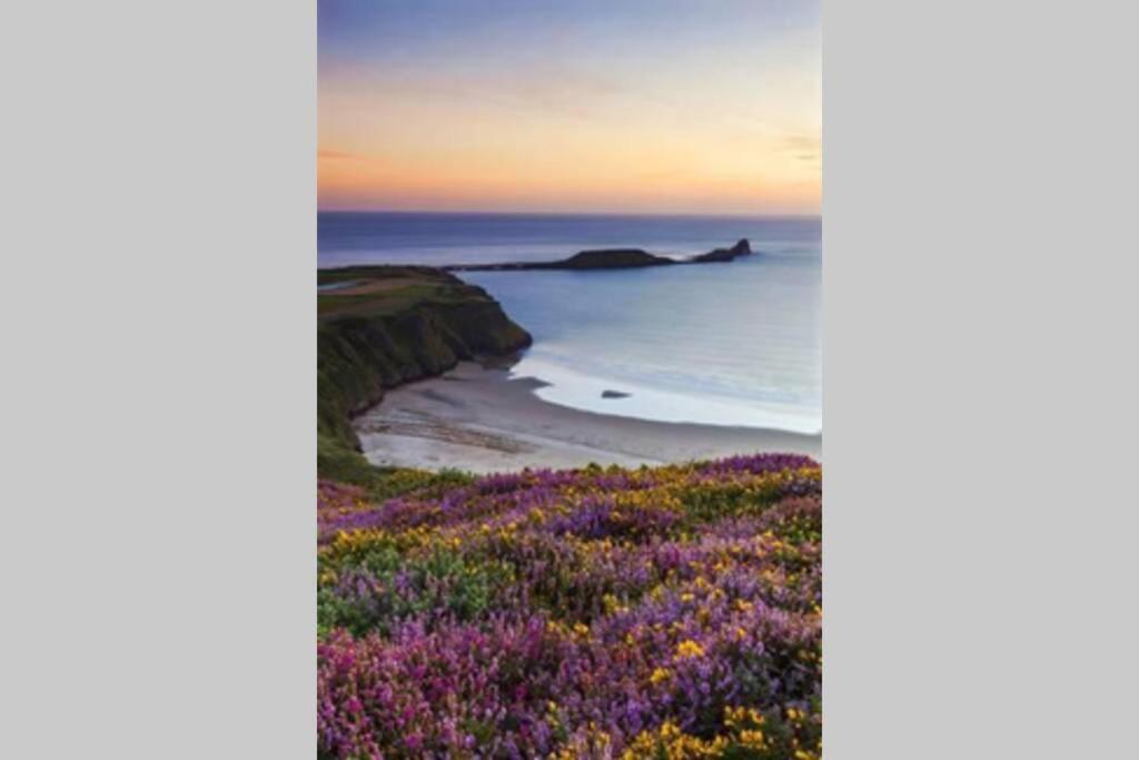 فيلا Perfect For The Family And Beaches - Gower Cwtch سوانسي المظهر الخارجي الصورة